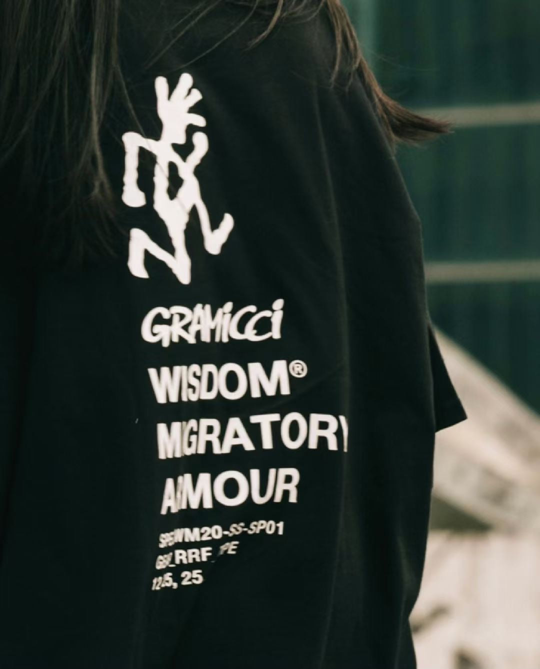 Gramicci wisdom migratory armour tee