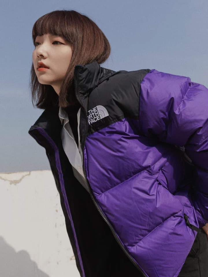 The north face 1966 Nuptse Down