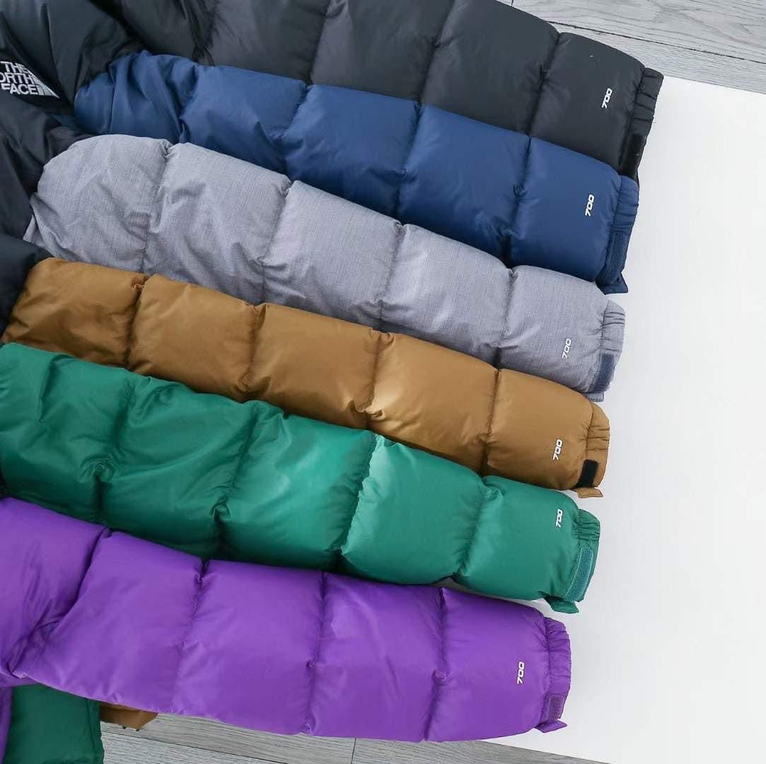 The north face 1966 Nuptse Down