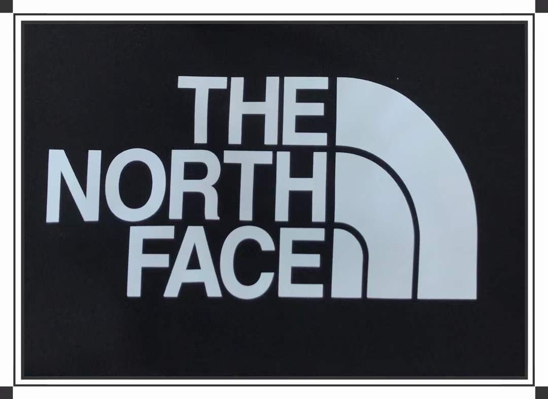 The north face 淨色印花衛衣