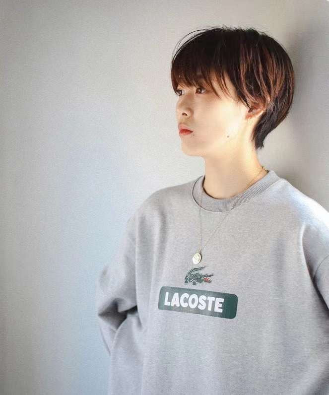 Lacoste x beams 衛衣