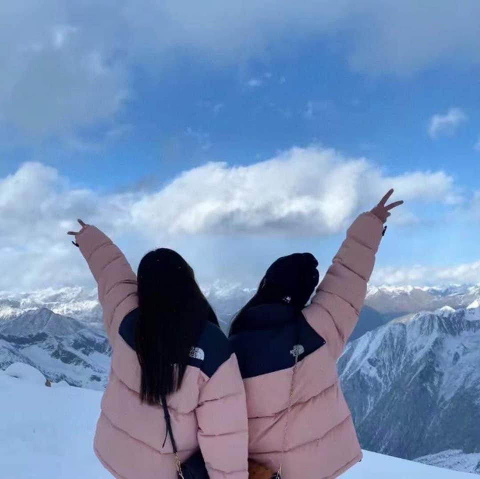 The north face 1966 Nuptse Down