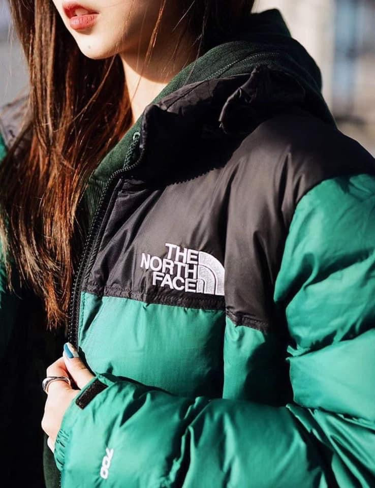 The north face 1966 Nuptse Down