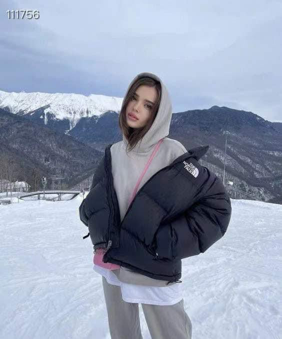 The north face 1966 Nuptse Down