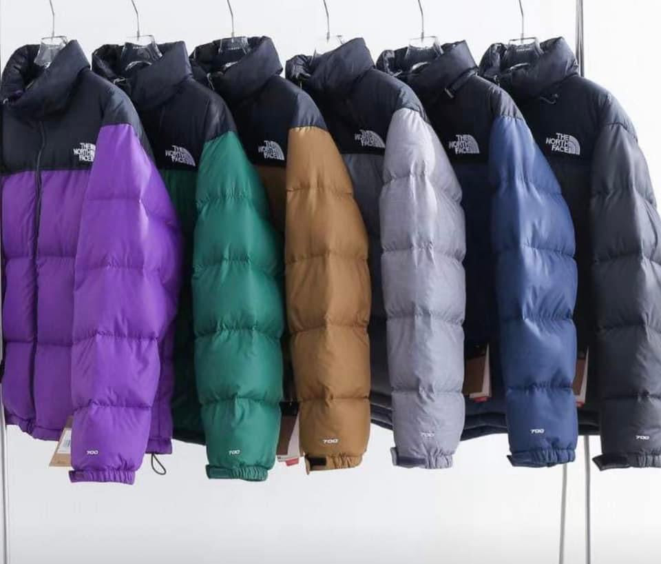 The north face 1966 Nuptse Down